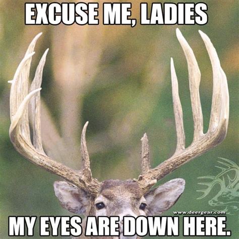 funny deer hunting memes|funny hunting memes for wives.